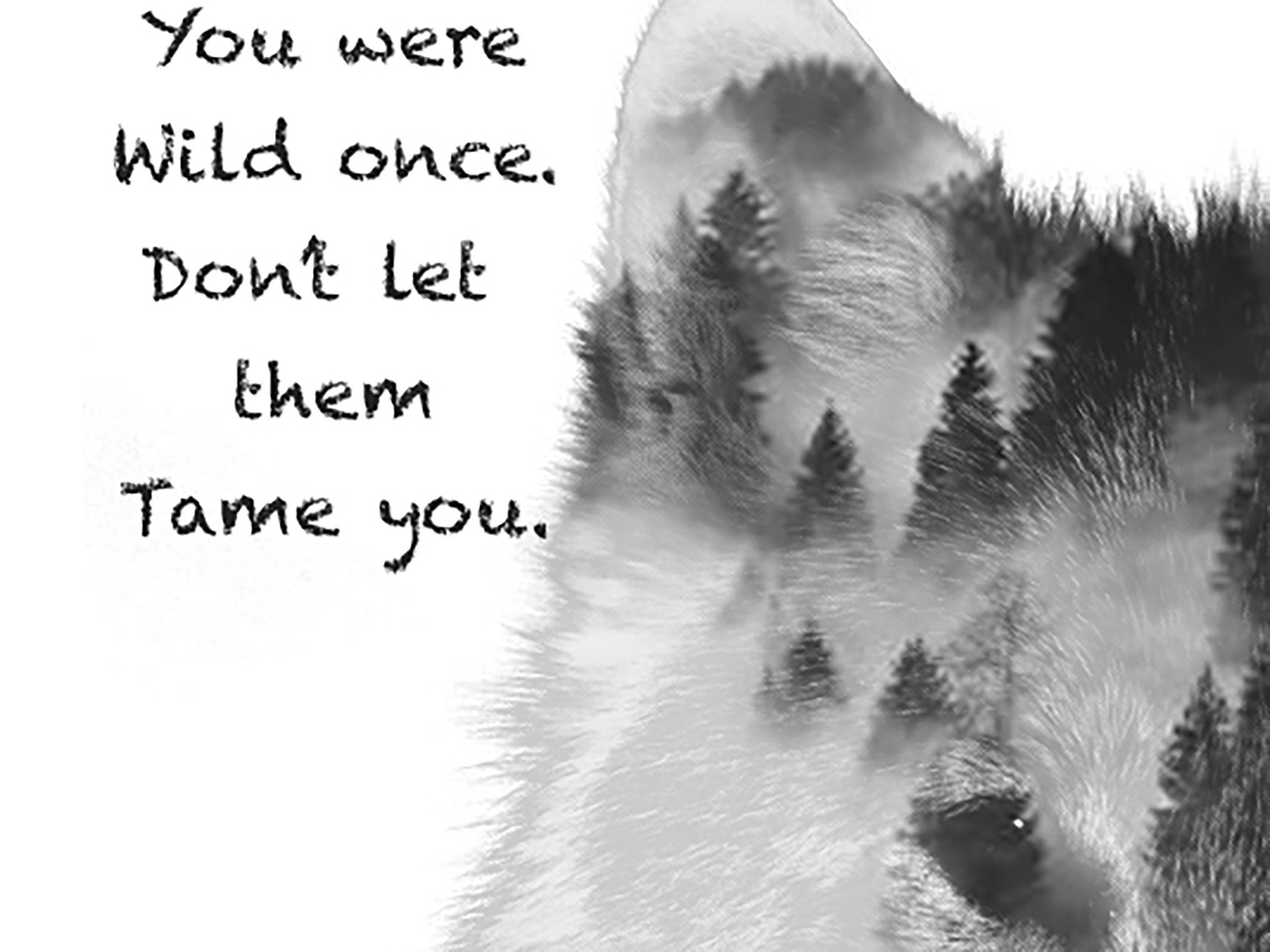 Dont Let Them Tame You